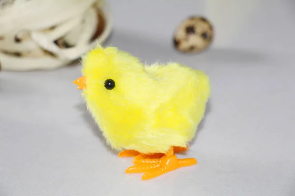 Pintainho amarelo perto do ninho. No ninho há ovos de codorniz . — Fotografia de Stock