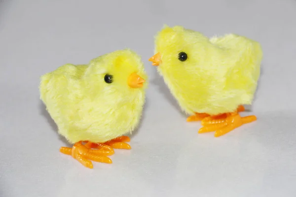 Yellow chickens on a white background. Chickens toy clockwork.