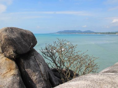 Sahilde büyük taşlar. Sahildeki kayalar.