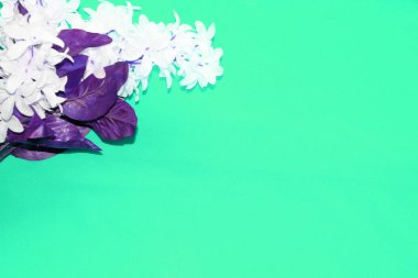 İpek kumaşın dokusu. Malzeme yeşil.