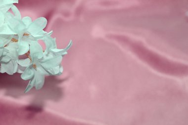 Pembe malzeme üzerinde bir çiçek. Pembe malzemenin dokusu.