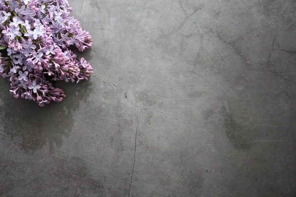 Bouquet de lilas se trouve sur un fond gris. Table vintage. Bouquet de lilas . — Photo