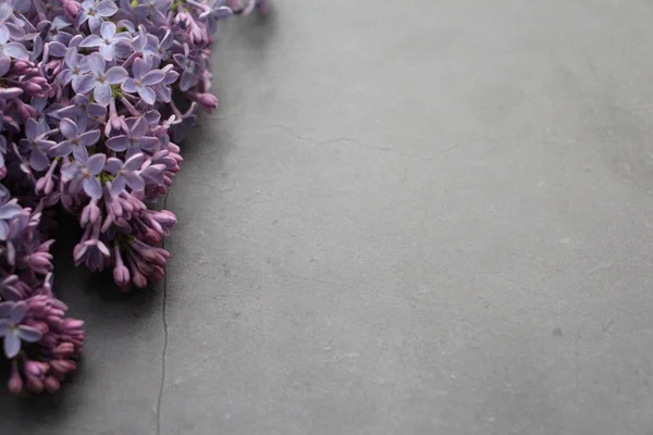 Bouquet de lilas se trouve sur un fond gris. Table vintage. Bouquet de lilas . — Photo