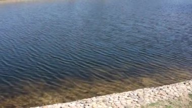 Rüzgardan gelen sudaki dalgalanmalar. Parkta Gölet, su görünür küçük dalgalar üzerinde.