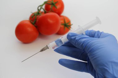 Şırınga ve domates. Genetiği değiştirilmiş beslenme kavramı.