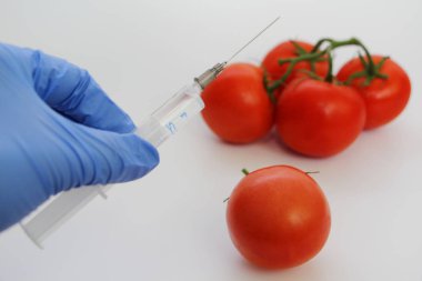 Şırınga ve domates. Genetiği değiştirilmiş beslenme kavramı.