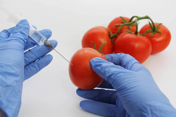 Syringe and tomatoes. Genetically modified nutritional concept.
