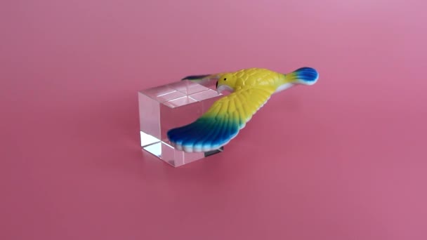 鸟玩具在嘴尖上平衡 鸟一直放在玻璃立方体上 重力运动 儿童原创玩具 粉红色背景 — 图库视频影像
