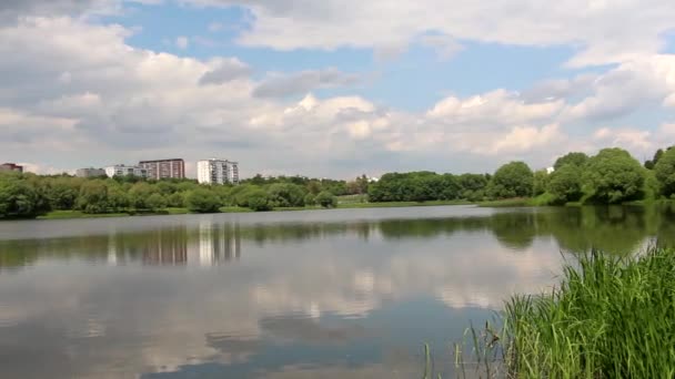 Étang en été. Au loin, la ville est visible. Des nuages pendent au-dessus de l'étang, mais le soleil brille. Le carex pousse dans l'étang. Paysage .