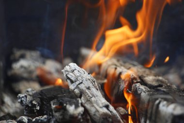 Ateş. Bir yangının portakal alevi. Şöminenin içinde huş ağacı yanan.