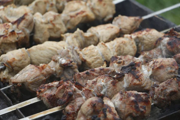 Cooking barbecue skewers. Marinated kebab is grilled on charcoal. — Stock Photo, Image