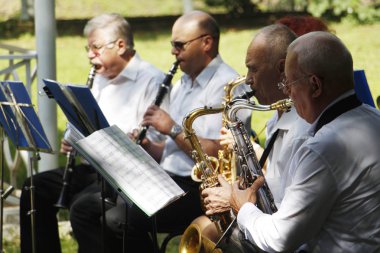 Pirinç bant. Birçok kişi parkta trompet çalmak.