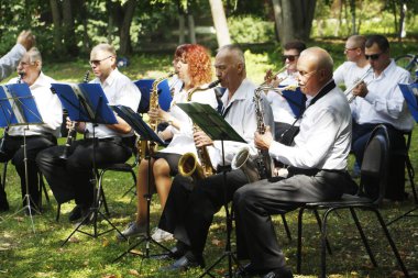 Pirinç bant. Birçok kişi parkta trompet çalmak.