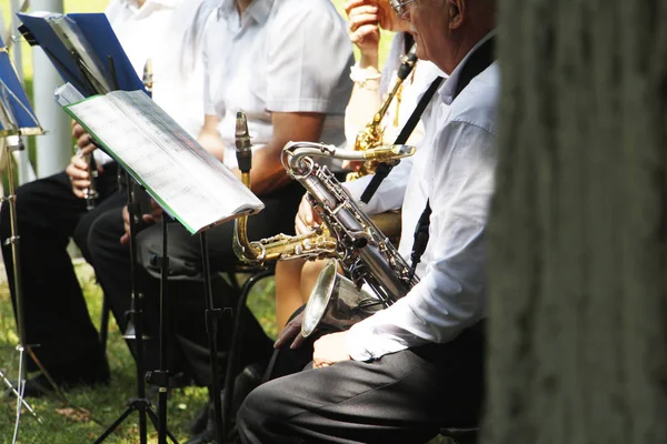 Blasmusik. Viele Menschen spielen im Park Trompeten. — Stockfoto