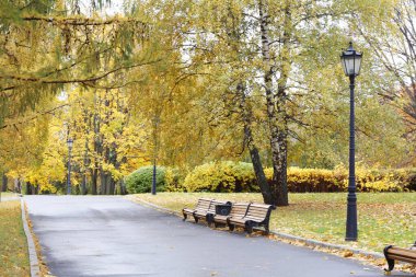 City park in the fall. Benches in the autumn park.