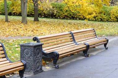 City park in the fall. Benches in the autumn park.