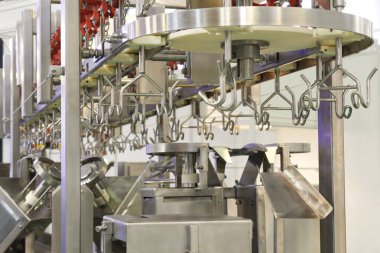 Kümes hayvanlarını kesme ve bölme işlemi için otomatik hat.