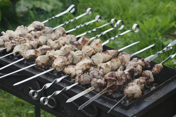 Broches de barbecue de cuisson. Le kebab mariné est grillé au charbon de bois . — Photo