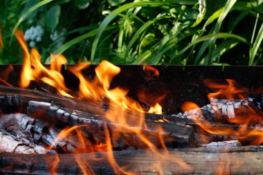 Şenlik ateşi. Yangının turuncu alevi. Izgarada dumanla yakılan şenlik ateşi. Kundakçılık ya da doğal afet. Şenlik ateşi yakın. Doğada ateş. Şenlik ateşi.