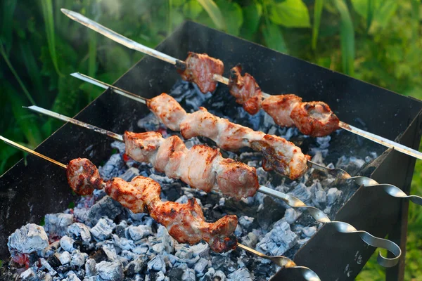 Broches Barbecue Cuisson Kebab Mariné Est Grillé Charbon Bois Shish — Photo