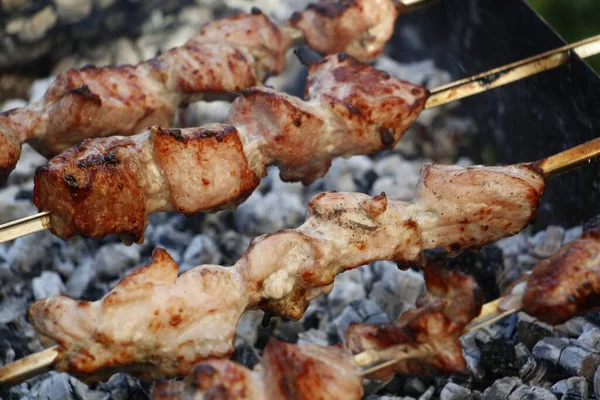 Broches Barbecue Cuisson Kebab Mariné Est Grillé Charbon Bois Shish — Photo