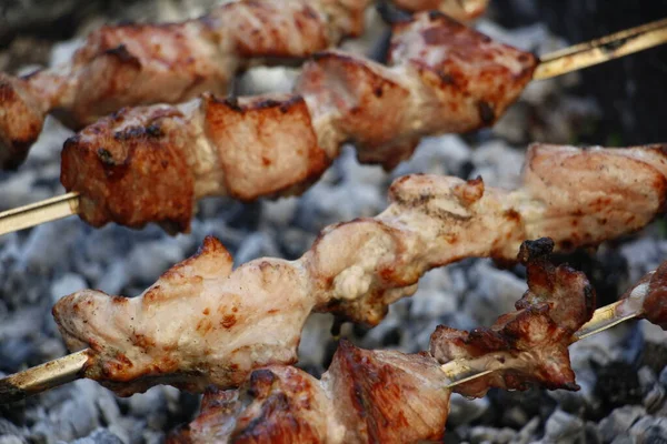 Broches Barbecue Cuisson Kebab Mariné Est Grillé Charbon Bois Shish — Photo