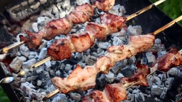 Broches Barbecue Cuisson Kebab Mariné Est Grillé Charbon Bois Shish — Video