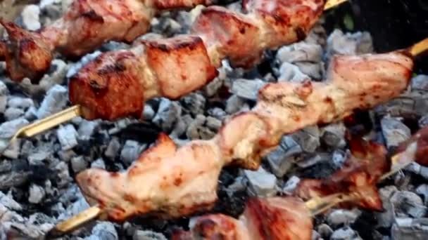 Pečení Grilovacích Špejlí Marinovaný Kebab Griluje Dřevěném Uhlí Shish Kebab — Stock video