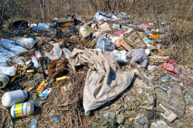 Ormanda büyük bir çöp yığını var..