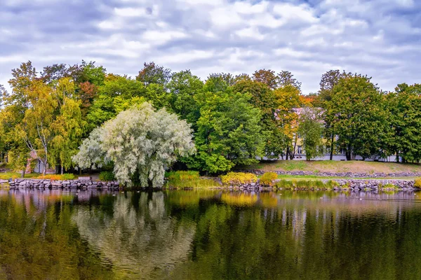 Осенние деревья отражаются в озере вдоль побережья — стоковое фото