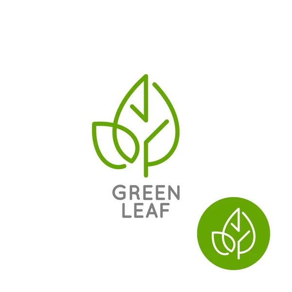 Konsep logo daun. Garis daun hijau pada latar belakang putih - Stok Vektor