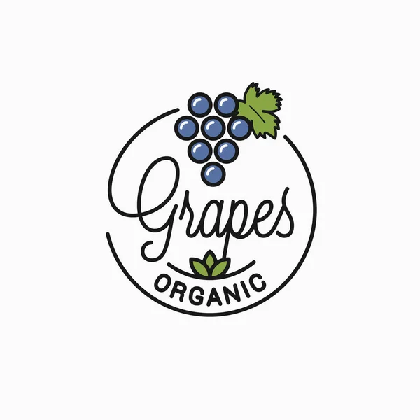Logo de uvas. Logotipo lineal redondo de uvas ecológicas — Vector de stock