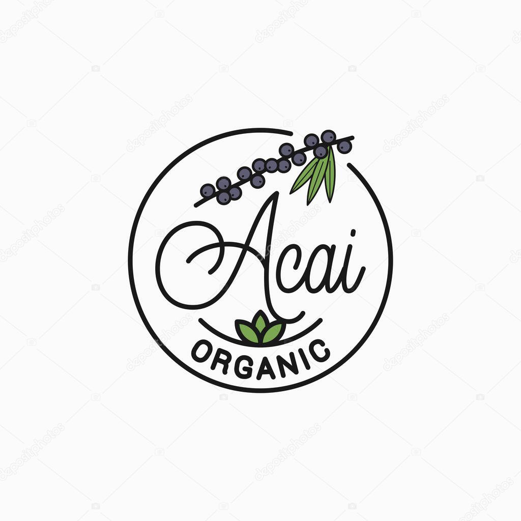 Acai branch logo. Round linear logo of acai superfood on white background 8 eps
