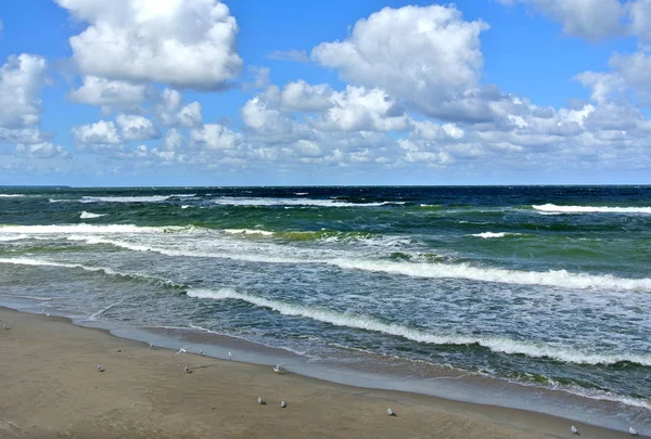 俄罗斯加里宁格勒地区泽莱诺格拉茨克波罗的海沿岸线上波浪和戏剧性天空的空旷海滩 — 图库照片