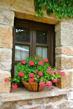 Large wooden pot with pink flowers at outside window sill, village Vinuesa, Spain clipart
