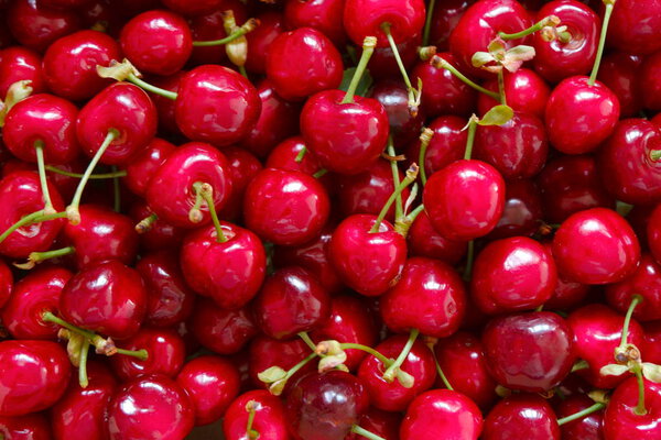 close up of ripe cherry texture as background 