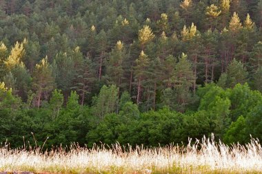 gün batımı nda Pyrenees sıradağlarının görünümü, Bielsa, İspanya 