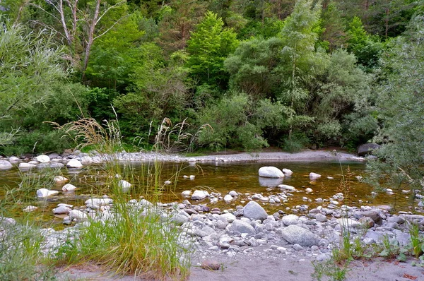 Mountain River Pyrenéerna Spanien — Stockfoto