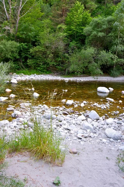 Mountain River Pyrenees Mountains Spain — Stock Photo, Image