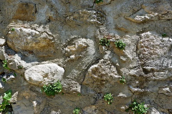 Antigua Superficie Pared Piedra Casa Como Fondo — Foto de Stock