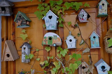 Sallent de Gallego çeşitli kuş evlerinin görünümü, İspanya  