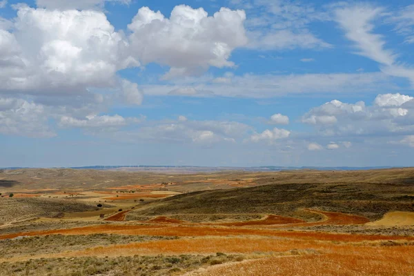 Belle Vue Des Champs Agricoles Labourés Sur Fond Ciel Bleu — Photo