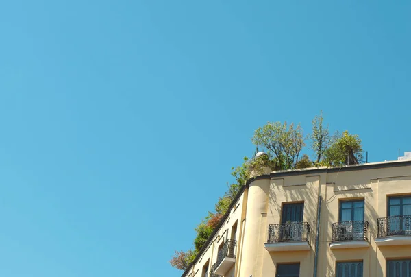 Минимальная Фотография Крыши Старого Здания Зеленью Районе Лавапи Уютная Экожизнь — стоковое фото