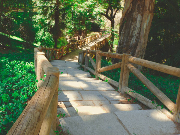 Steps going down into the woods in Retiro park, Madrid, Spain. Walking path, descent, weekend trip. Warm toned photo for backgrounds