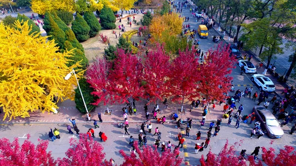 この航空写真ビューで何千人もの観光客や地元住民は 2018 日の中国北東部の遼寧省瀋陽市でイチョウ祭りの期間中遼寧大学を参照してください — ストック写真