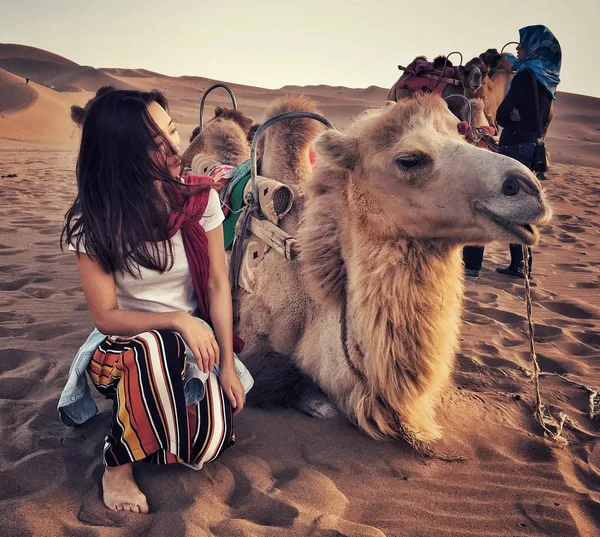 Турист Дивиться Верблюдах Пустелі Гобі Озері Півмісяця Yueyaquan Спів Піщаних — стокове фото