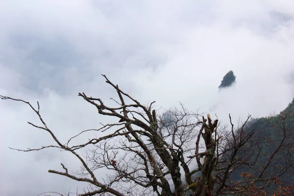 Paesaggio Della Montagna Tianmen Montagna Tianmenshan Nel Parco Nazionale Della — Foto Stock