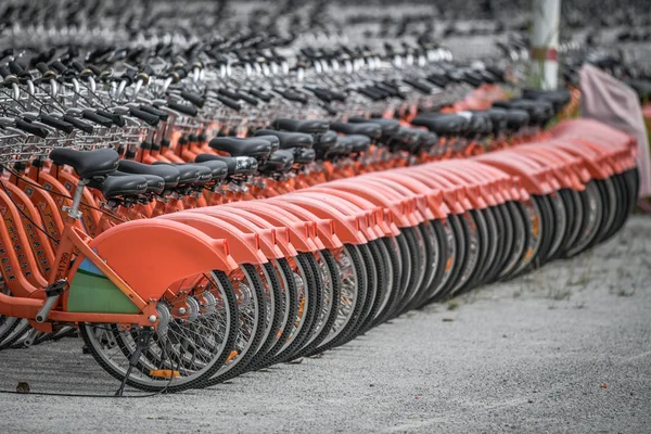 Biciclette Del Servizio Pubblico Noleggio Biciclette Sono Fila Uno Spazio — Foto Stock