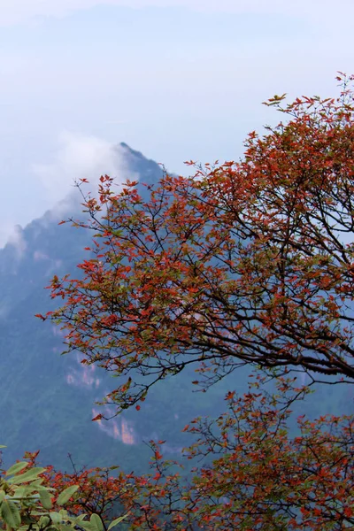 Landschap Van Berg Tianmen Tianmenshan Berg Zhangjiajie National Forest Park — Stockfoto