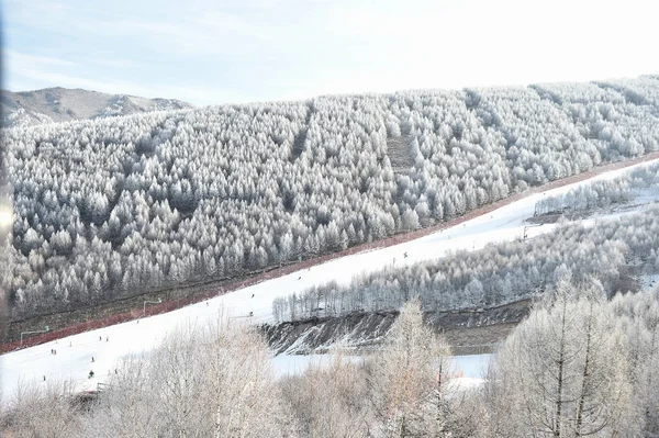 Landschaft Aus Reifbedeckten Bäumen Malerischen Ort Honghualiang Kreis Chongli Stadt — Stockfoto